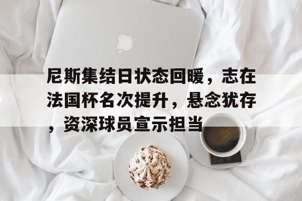 尼斯集结日状态回暖，志在法国杯名次提升，悬念犹存，资深球员宣示担当的简单介绍-LoL